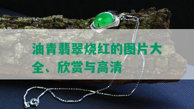 油青翡翠烧红的图片大全、欣赏与高清