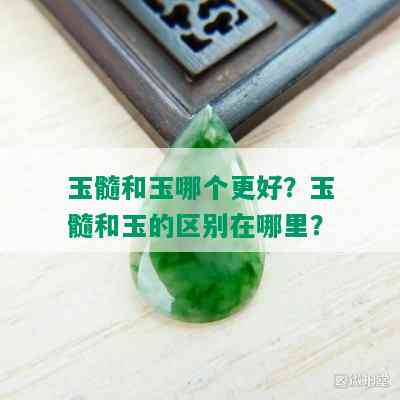 玉髓和玉哪个更好？玉髓和玉的区别在哪里？