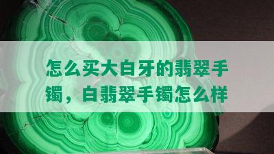 怎么买大白牙的翡翠手镯，白翡翠手镯怎么样