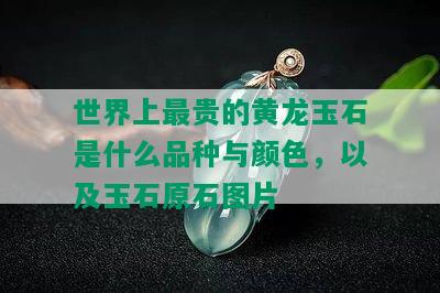 世界上最贵的黄龙玉石是什么品种与颜色，以及玉石原石图片