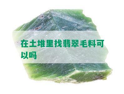 在土堆里找翡翠毛料可以吗