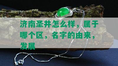 济南圣井怎么样，属于哪个区，名字的由来，发展