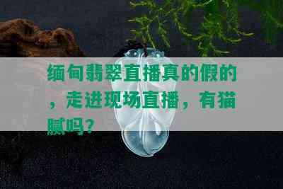 缅甸翡翠直播真的假的，走进现场直播，有猫腻吗？