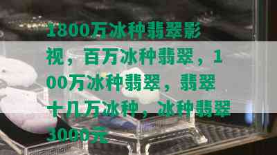 1800万冰种翡翠影视，百万冰种翡翠，100万冰种翡翠，翡翠十几万冰种，冰种翡翠3000元