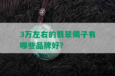 3万左右的翡翠镯子有哪些品牌好？