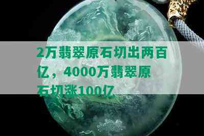 2万翡翠原石切出两百亿，4000万翡翠原石切涨100亿