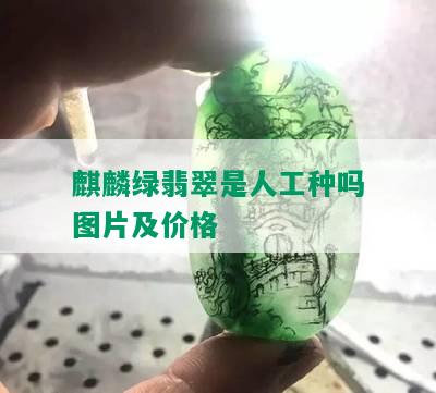 麒麟绿翡翠是人工种吗图片及价格