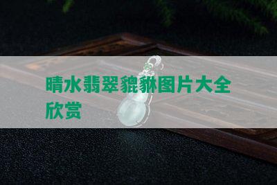 晴水翡翠貔貅图片大全欣赏