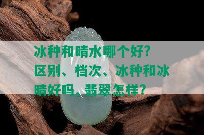 冰种和晴水哪个好? 区别、档次、冰种和冰晴好吗, 翡翠怎样?