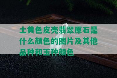 土黄色皮壳翡翠原石是什么颜色的图片及其他品种和玉种颜色