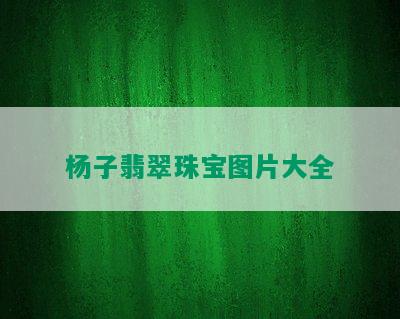 杨子翡翠珠宝图片大全