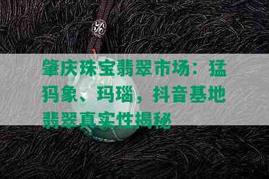 肇庆珠宝翡翠市场：猛犸象、玛瑙，抖音基地翡翠真实性揭秘