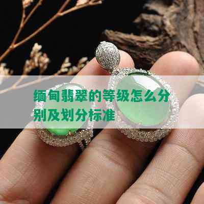 缅甸翡翠的等级怎么分别及划分标准