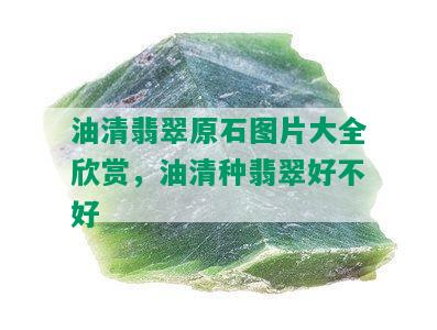 油清翡翠原石图片大全欣赏，油清种翡翠好不好