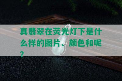 真翡翠在荧光灯下是什么样的图片、颜色和呢？