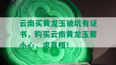 云南买黄龙玉被坑有证书，购买云南黄龙玉要小心，求真相！