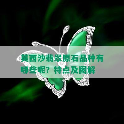 莫西沙翡翠原石品种有哪些呢？特点及图解