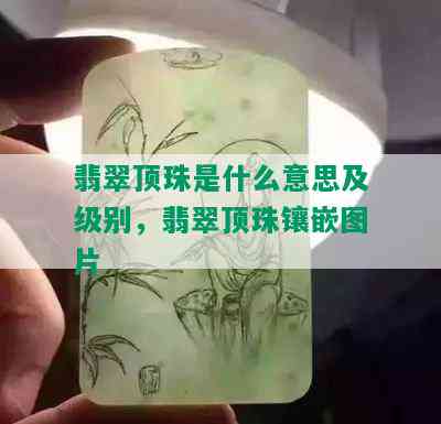 翡翠顶珠是什么意思及级别，翡翠顶珠镶嵌图片