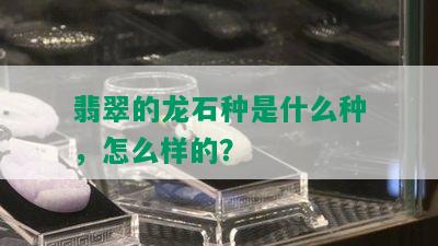 翡翠的龙石种是什么种，怎么样的？