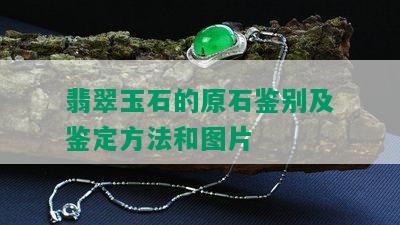 翡翠玉石的原石鉴别及鉴定方法和图片