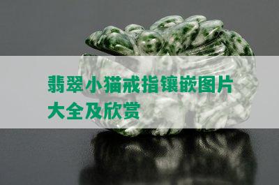 翡翠小猫戒指镶嵌图片大全及欣赏