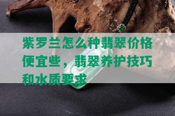 紫罗兰怎么种翡翠价格便宜些，翡翠养护技巧和水质要求