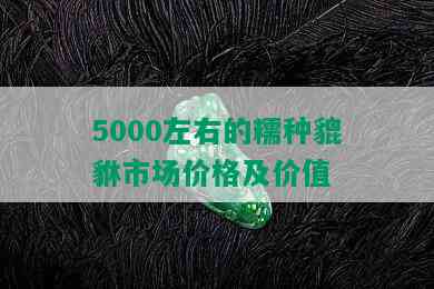 5000左右的糯种貔貅市场价格及价值