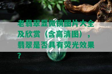 老翡翠显微镜图片大全及欣赏（含高清图），翡翠是否具有荧光效果？