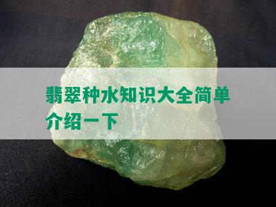 翡翠种水知识大全简单介绍一下