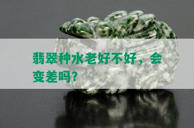 翡翠种水老好不好，会变差吗？