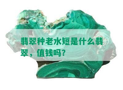 翡翠种老水短是什么翡翠，值钱吗？