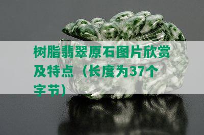 树脂翡翠原石图片欣赏及特点（长度为37个字节）