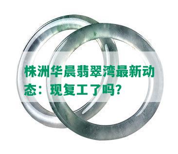 株洲华晨翡翠湾最新动态：现复工了吗？