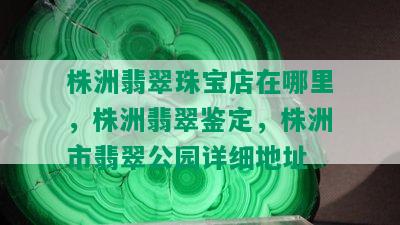 株洲翡翠珠宝店在哪里，株洲翡翠鉴定，株洲市翡翠公园详细地址