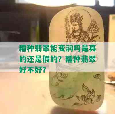 糯种翡翠能变润吗是真的还是假的？糯种翡翠好不好？