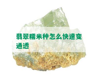 翡翠糯米种怎么快速变通透