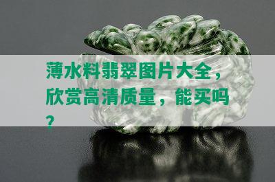 薄水料翡翠图片大全，欣赏高清质量，能买吗？