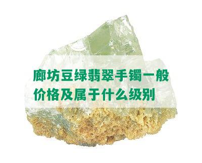 廊坊豆绿翡翠手镯一般价格及属于什么级别