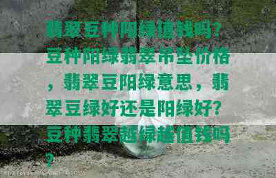 翡翠豆种阳绿值钱吗？豆种阳绿翡翠吊坠价格，翡翠豆阳绿意思，翡翠豆绿好还是阳绿好？豆种翡翠越绿越值钱吗？