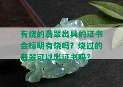 有烧的翡翠出具的证书会标明有烧吗？烧过的翡翠可以出证书吗？