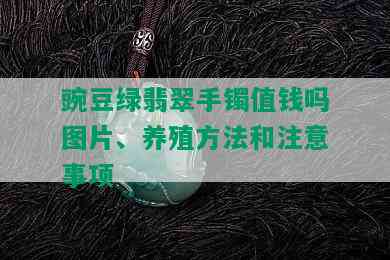 豌豆绿翡翠手镯值钱吗图片、养殖方法和注意事项