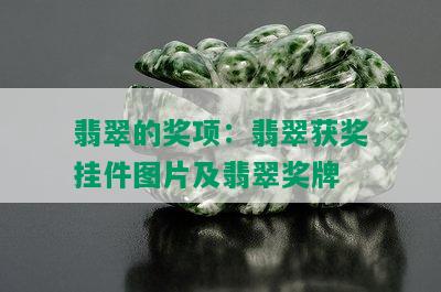 翡翠的奖项：翡翠获奖挂件图片及翡翠奖牌