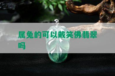 属兔的可以戴笑佛翡翠吗