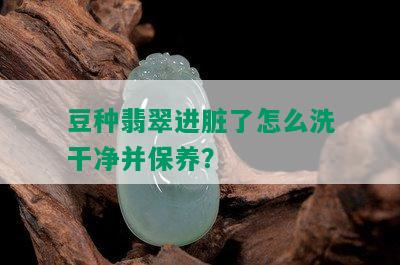 豆种翡翠进脏了怎么洗干净并保养？