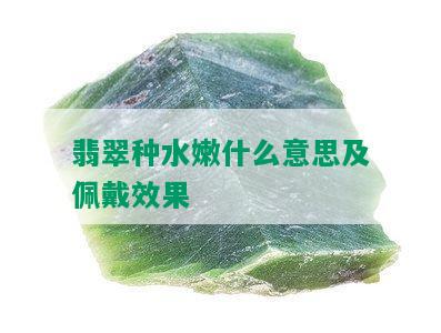 翡翠种水嫩什么意思及佩戴效果