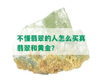 不懂翡翠的人怎么买真翡翠和黄金？