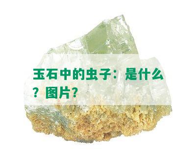 玉石中的虫子：是什么？图片？