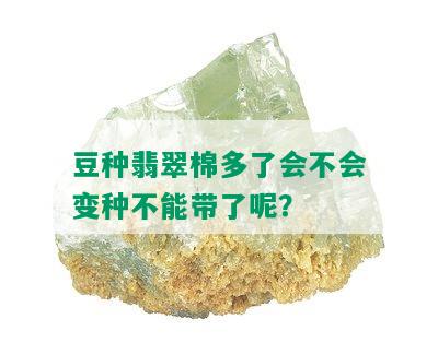 豆种翡翠棉多了会不会变种不能带了呢？