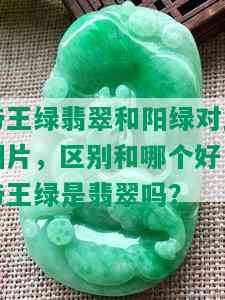 帝王绿翡翠和阳绿对比图片，区别和哪个好，帝王绿是翡翠吗？