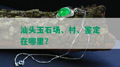 汕头玉石场、村、鉴定在哪里？